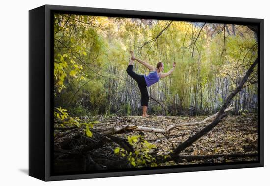 Katie Paulson Practices Yoga Among The Cottonwood Trees In An Autumn Morning In Indian Creek, Utah-Dan Holz-Framed Premier Image Canvas