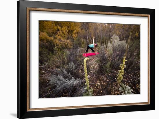 Katie Paulson Practices Yoga Among The Cottonwood Trees In An Autumn Morning In Indian Creek, Utah-Dan Holz-Framed Photographic Print