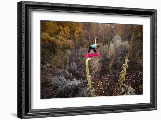 Katie Paulson Practices Yoga Among The Cottonwood Trees In An Autumn Morning In Indian Creek, Utah-Dan Holz-Framed Photographic Print