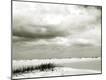 Premium Photographic Print