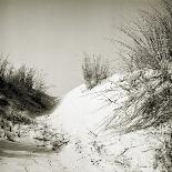 Wind Blown Sand on a Beach-Katrin Adam-Photographic Print