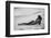 Katrin and the Sea-Zachar Rise-Framed Photographic Print