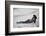 Katrin and the Sea-Zachar Rise-Framed Photographic Print