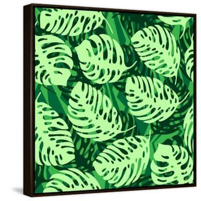 philodendron birkin rojo congo 90 main image 1