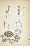 Shellfish-Katsuma Ryusai-Framed Giclee Print