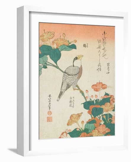 Katsushika Hokusai Flowers & Bird II-Katsushika Hokusai-Framed Art Print