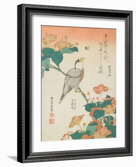 Katsushika Hokusai Flowers & Bird II-Katsushika Hokusai-Framed Art Print