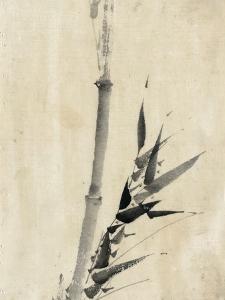 Japan: Bamboo, C1830-1850