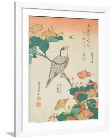 杉菜水姬Flowers画集设定集Flowers Art Works Couleur - 不移之