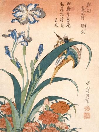 2025人気新作 Kingfisher Wall Art Prints | Art.com 版画