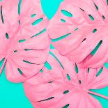 Pink Tropical Palm Leaves of Monstera in Vibrant Bold Color on Turquoise Background-Katya Havok-Laminated Photographic Print