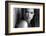 Katya-Valeriy Kasmasov-Framed Photographic Print