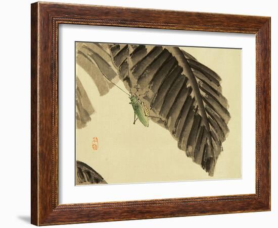 Katydid on Banana Leaf-Bairei Kono-Framed Giclee Print