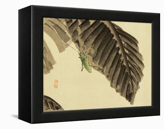 Katydid on Banana Leaf-Bairei Kono-Framed Premier Image Canvas