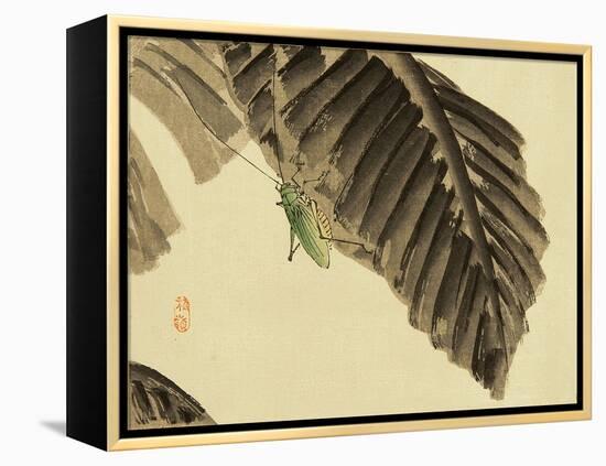 Katydid on Banana Leaf-Bairei Kono-Framed Premier Image Canvas