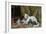 Katze mit vier Jungen auf einem alten Teppich-Julius Adam-Framed Giclee Print