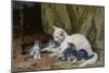 Katze mit vier Jungen auf einem alten Teppich-Julius Adam-Mounted Giclee Print