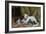 Katze mit vier Jungen auf einem alten Teppich-Julius Adam-Framed Giclee Print