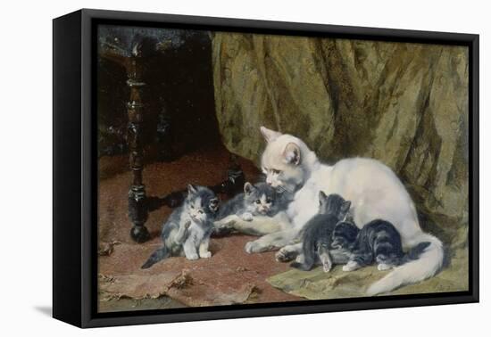 Katze mit vier Jungen auf einem alten Teppich-Julius Adam-Framed Premier Image Canvas