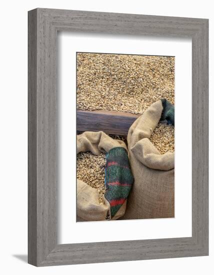 Kauai Coffee beans drying, Kauai, Hawaii, USA.-Jim Engelbrecht-Framed Photographic Print