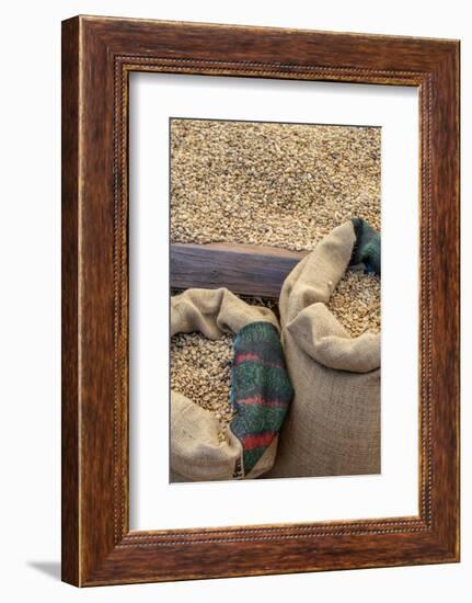 Kauai Coffee beans drying, Kauai, Hawaii, USA.-Jim Engelbrecht-Framed Photographic Print