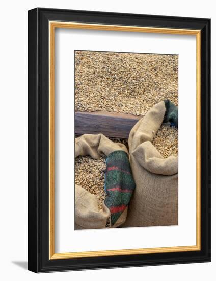 Kauai Coffee beans drying, Kauai, Hawaii, USA.-Jim Engelbrecht-Framed Photographic Print