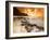 Kauai, Hawaii: Sunset on Tunnels Beach-Ian Shive-Framed Photographic Print