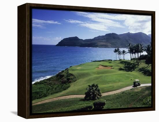 Kauai, Hawaii, USA-null-Framed Premier Image Canvas