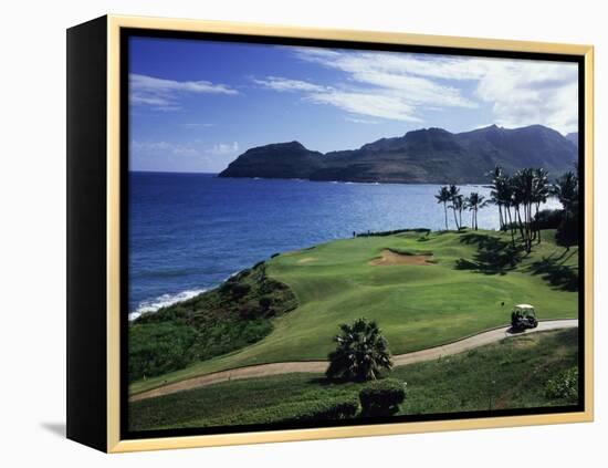Kauai, Hawaii, USA-null-Framed Premier Image Canvas