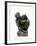 Kauernde (La Femme Accroupie), 1880-82-Auguste Rodin-Framed Photographic Print