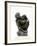 Kauernde (La Femme Accroupie), 1880-82-Auguste Rodin-Framed Photographic Print