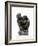 Kauernde (La Femme Accroupie), 1880-82-Auguste Rodin-Framed Photographic Print