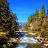 Rapid Mountain Stream of Coniferous Forests. Pastoral in the Alpine Mountain Valley in Austria. Cas-kavram-Photographic Print