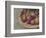 Kay's Beets-Jennifer Kennard-Framed Photographic Print