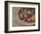 Kay's Beets-Jennifer Kennard-Framed Photographic Print