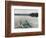 Kayak Dreams-Orah Moore-Framed Art Print