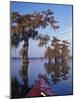 Kayak Exploring the Swamp, Atchafalaya Basin, New Orleans, Louisiana, USA-Adam Jones-Mounted Photographic Print