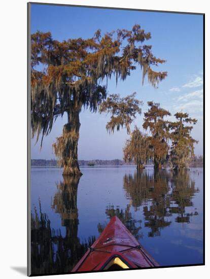 Kayak Exploring the Swamp, Atchafalaya Basin, New Orleans, Louisiana, USA-Adam Jones-Mounted Photographic Print