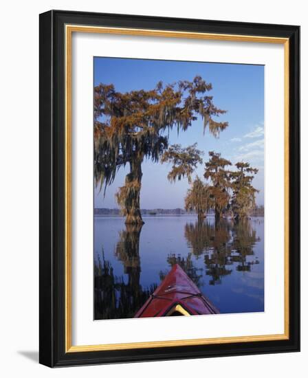 Kayak Exploring the Swamp, Atchafalaya Basin, New Orleans, Louisiana, USA-Adam Jones-Framed Photographic Print