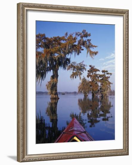 Kayak Exploring the Swamp, Atchafalaya Basin, New Orleans, Louisiana, USA-Adam Jones-Framed Photographic Print