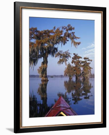 Kayak Exploring the Swamp, Atchafalaya Basin, New Orleans, Louisiana, USA-Adam Jones-Framed Photographic Print