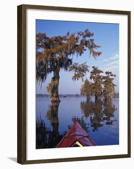 Kayak Exploring the Swamp, Atchafalaya Basin, New Orleans, Louisiana, USA-Adam Jones-Framed Photographic Print