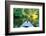 Kayak on a Small River-maksheb-Framed Photographic Print