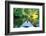 Kayak on a Small River-maksheb-Framed Photographic Print