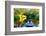 Kayak on a Small River-maksheb-Framed Photographic Print