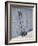 Kayak Paddles-David Madison-Framed Photographic Print