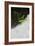 Kayaker Descending Waterfall Outside Of Crested Butte Colorado-Liam Doran-Framed Photographic Print