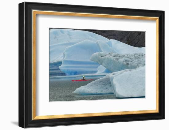 Kayaker exploring Grey Lake amid icebergs, Torres del Paine National Park, Chile, Patagonia-Adam Jones-Framed Photographic Print