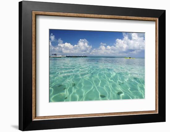 Kayaker in Blue Waters, Southwater Cay, Belize-Cindy Miller Hopkins-Framed Photographic Print