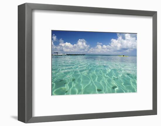 Kayaker in Blue Waters, Southwater Cay, Belize-Cindy Miller Hopkins-Framed Photographic Print